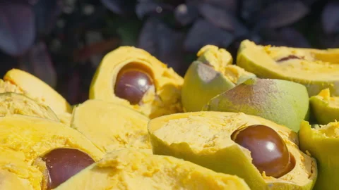 Fresh Whole and Sliced Peruvian Lucuma Fruit in a White Bowl Vídeo Stock 344985010