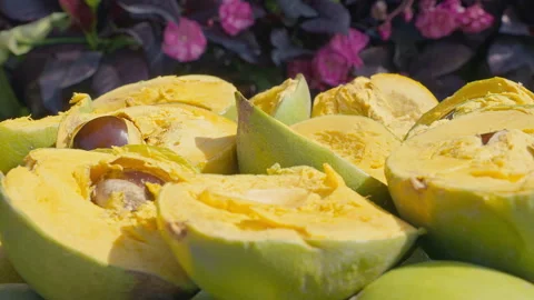 Fresh Whole and Sliced Peruvian Lucuma Fruit in a White Bowl Vídeos de archivo 344985024