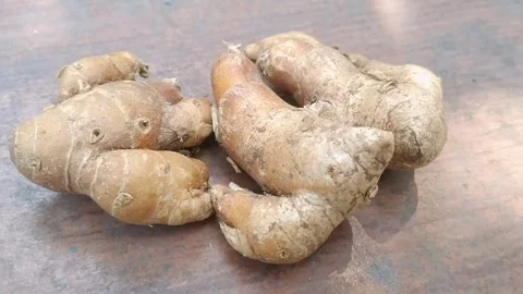 Fresh Whole Clean Aromatic Ginger Roots on Natural Background Stock Footage 340382942
