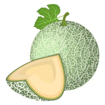 Fresh whole, cut slice melon fruit isolated on white background. Cantaloupe m Stock Illustration