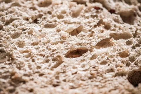 Fresh whole grain seeded bread, organic wheat flour, closeup slice texture as Stock Photos