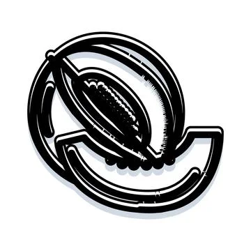 Fresh whole melon and slice line art Stock Illustration