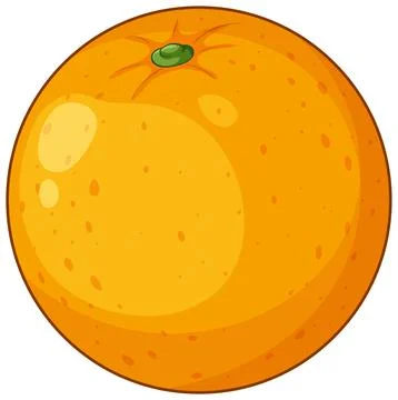 Fresh Whole Orange Fruit Vector Illustration on White Background Stock-Illustration