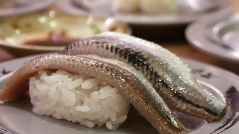 Fresh whole sardine or iwashi nigiri sushi Vídeos de archivo 330281153