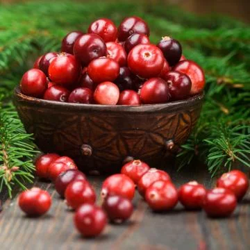 Fresh wild cranberry (lingonberries, cowberry) on wooden background Stock Photos