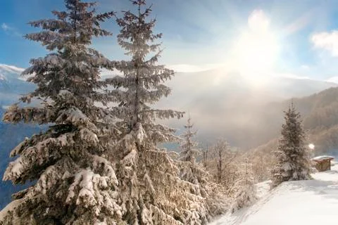 Fresh winter in the mountains Stock Photos