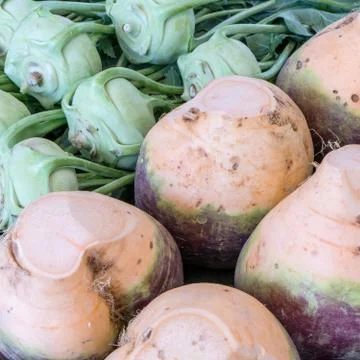 Fresh winter vegetables Stock Photos