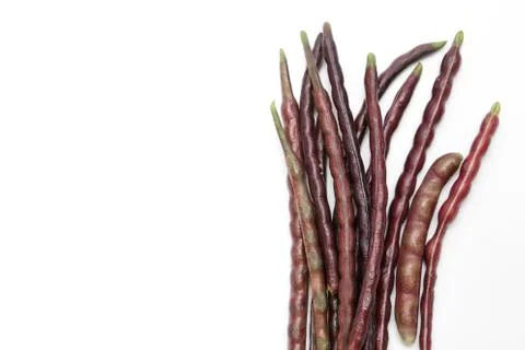 Fresh yardlong red bean on a white background , Vigna unguiculata subsp. Sesq Stock Photos