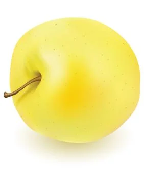 Fresh yellow apple Stock Illustration