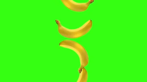 Fresh yellow bananas falling down on green screen background Stock Footage 340995731
