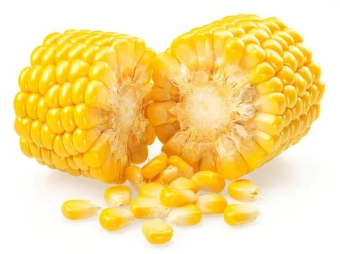 Fresh yellow corn cob with kernels and pieces on white Stock Photos