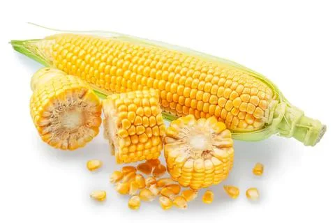 Fresh yellow corn on the cob with kernels and pieces Stock Photos
