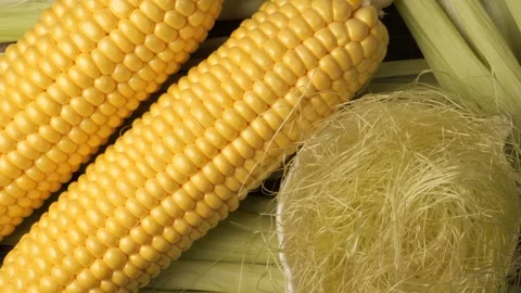 Fresh yellow corn cobs with green husks dolly shot Stock Footage 344604153