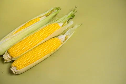 Fresh yellow corn cobs on green background. Fresh vegetables. Stock Photos