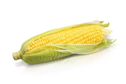 Fresh yellow corn Stock Photos