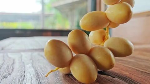 Fresh Yellow Date Palm Cluster Hanging Over Wooden Table. Stock Footage 340487626