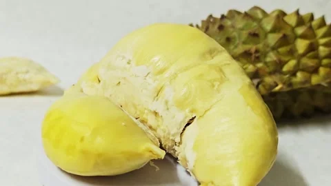 Fresh yellow durian pulp close up. 스톡 동영상 339337609