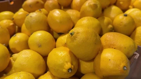 Fresh Yellow Lemons in Store Display Box Stock Footage 345932043