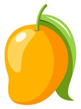 Fresh yellow mango, illustration, vector on white background. Fresh yellow... Stock Photos