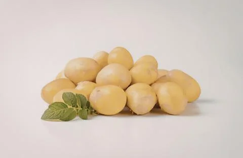 Fresh yellow potatoes with mint leaf Stock Photos