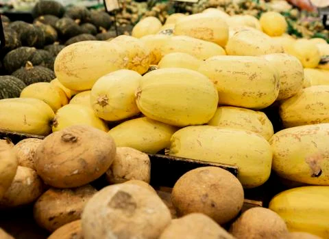 Fresh Yellow Squash Stock Photos