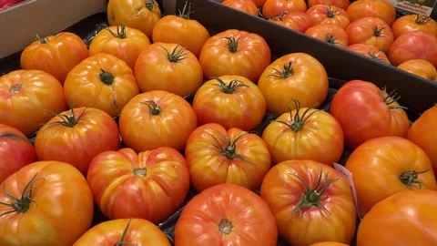 Fresh Yellow Tomatoes Displayed on Grocery Store Shelf Stock Footage 345932008