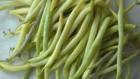 Fresh Yellow Wax Snap Beans on a White Table 스톡 동영상 113483574