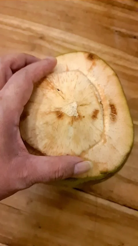 Fresh Young Coconut Stock Footage 309506095