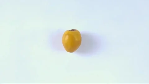 A Fresh Young Dates on A White Stock Footage 304791593