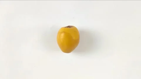 A Fresh Young Dates on A White Stock Footage 304791628