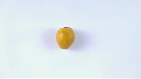 A Fresh Young Dates on A White Stock Footage 304791641