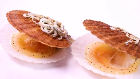 Fresh young scallops on white background, rotating Stock Footage 301413589