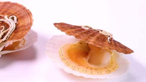 Fresh young scallops on white background, rotating Stock Footage 302038655