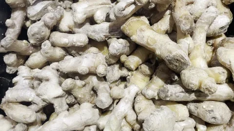 Fresh Zingiber Officinale Ginger Roots Stock Footage 325639382