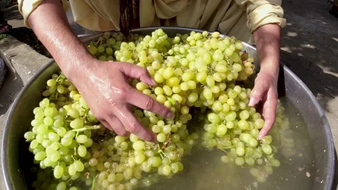 Freshening Grapes Stock Footage 274475952