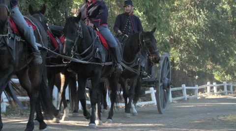 FreshHorses Stock-Footage 34689574