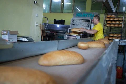 Freshly backed bread ready to be packed Stock Photos