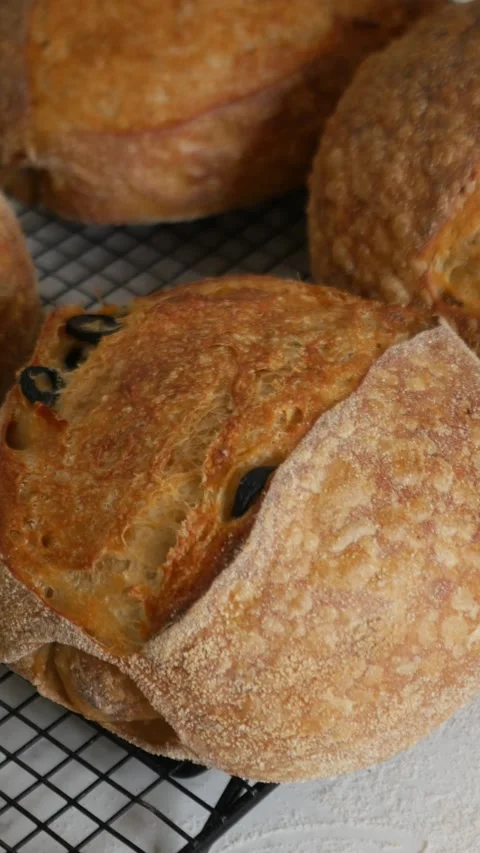 Freshly baked artisan sourdough bread with black olives Video stock 331900983