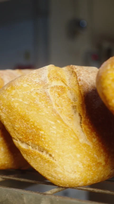 Freshly Baked Bread Arranged on Bakery Rack, Tracking Shot Stock Footage 345593173