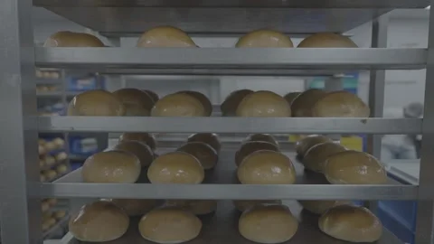 Freshly baked bread buns on a cooling rack in a bakery. Stock-Footage 327354900