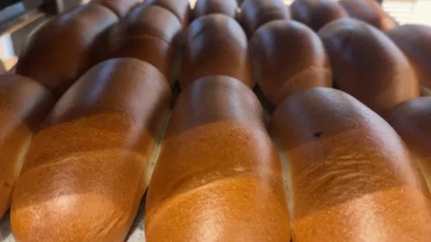 Freshly baked bread coming out of a bakery oven Stock Footage 295506015