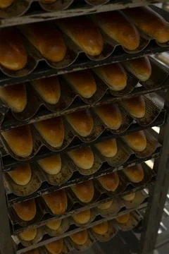 Freshly baked bread cooling on racks, in industrial bakery, with nearby objects. Stock Photos