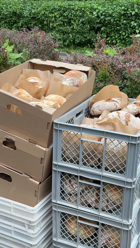 Freshly baked bread in crates against a leafy green garden background Stock Footage 336208393