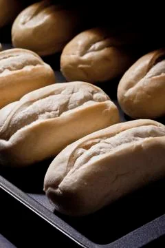 Freshly baked bread inside the oven Stock Photos