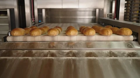 Freshly baked bread loaves moving on a conveyor belt exiting an industrial oven Stock Footage 333823304