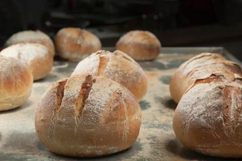 Freshly baked bread Stock Photos