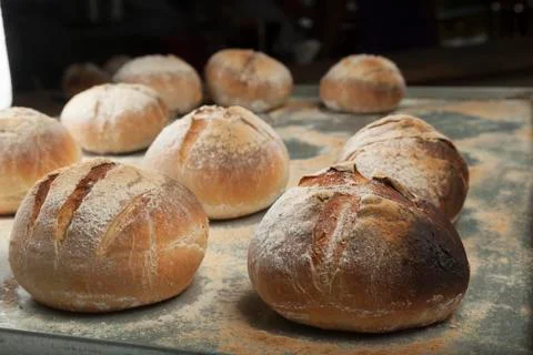 Freshly baked bread Stock Photos