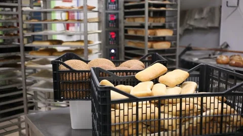Freshly baked bread in plastic crate on table in bakery, industrial bread Stock Footage 154776291