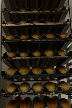 Freshly baked bread rolls cooling on tall metal rack inside bakery kitchen bread Stock Photos