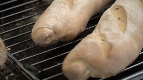 Freshly Baked Bread Rolls Stock Footage 317472659